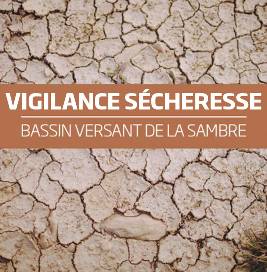 Lire la suite à propos de l’article VIGILANCE SÉCHERESSE SUR LE BASSIN DE LA SAMBRE